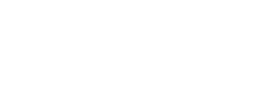 Stallion Overseas Logo