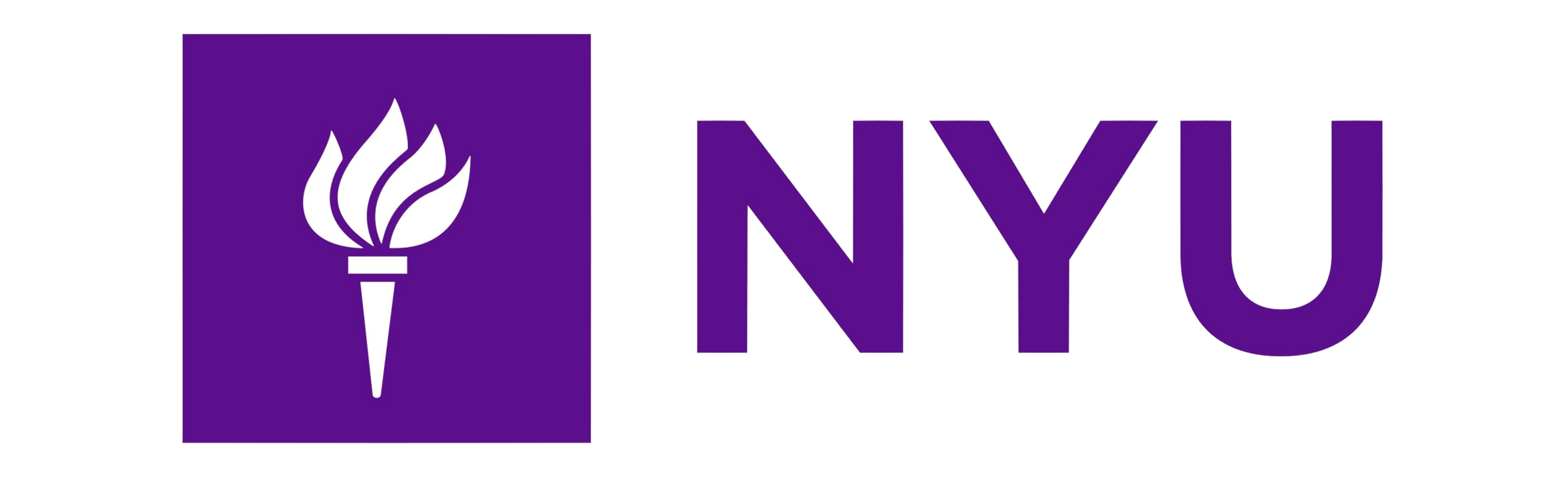 New York University